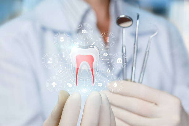 Professional Dental Services in Brazoria, TX